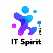 Consultant Netsuite Junior