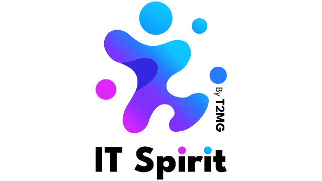 Consultant Netsuite Junior - CDI Lyon, France